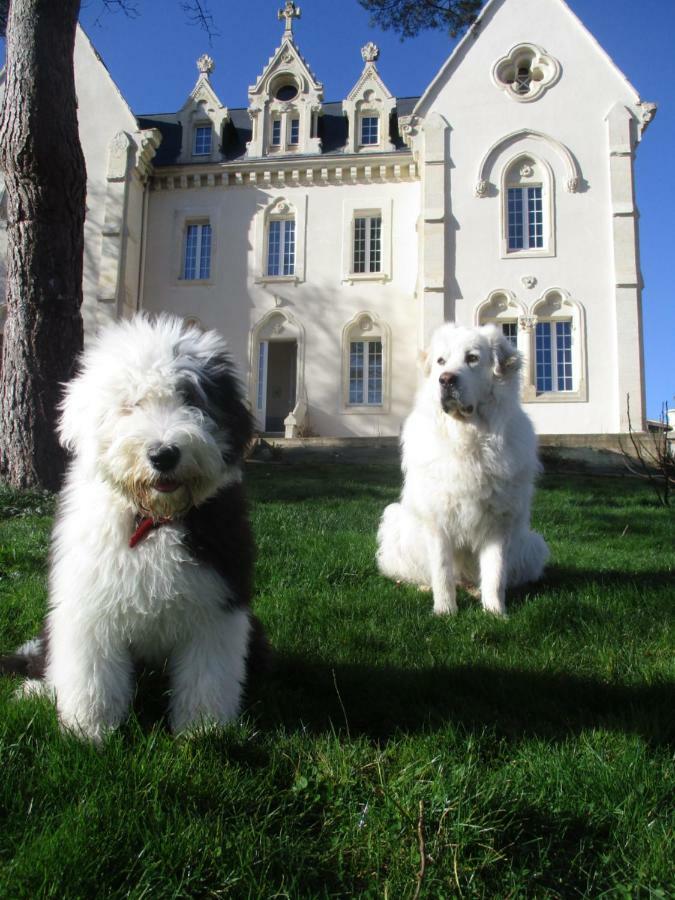 Bed and Breakfast Le Manoir De Sanilhac Notre-Dame-de-Sanilhac Exterior foto